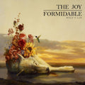 the album cover for The Joy Formidable - Wolf's Law