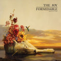 the album cover for The Joy Formidable - Wolf's Law [180 Gram]
