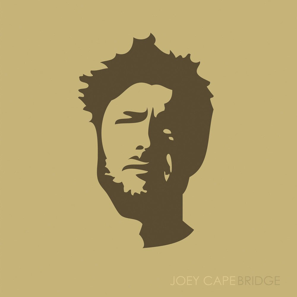 the album cover for Joey Cape - Bridge [Vinyl]