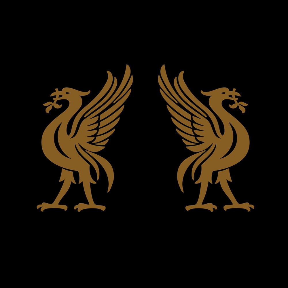the album cover for Jon Snodgrass & Joey Cape - Liverbirds