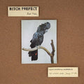 the album cover for Bitch Prefect - Bird Nerds