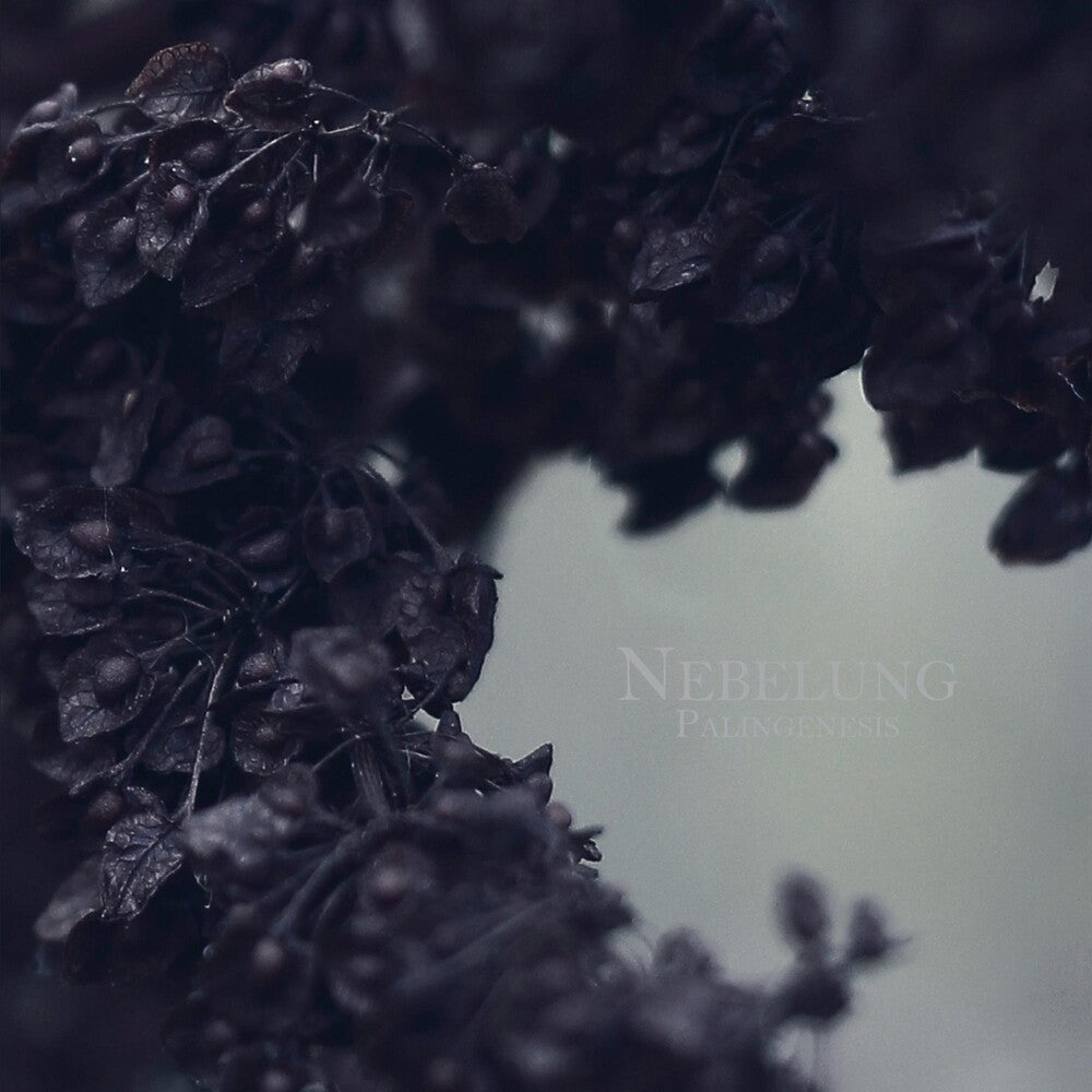 the album cover for Nebelung - Palingenesis