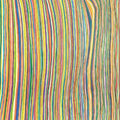 the album cover for Dva - Nipomo