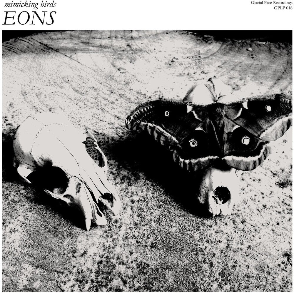 the album cover for Mimicking Birds - Eons