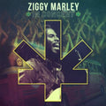 the album cover for Ziggy Marley - Ziggy Marley in Concert