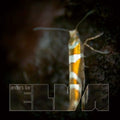 the album cover for Anders Ilar - Elva Remixes