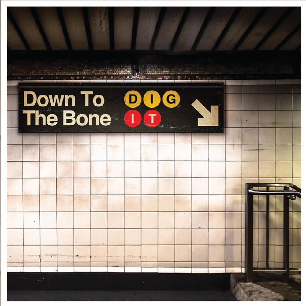 the album cover for Down To The Bone - Dig It