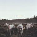 the album cover for Foxing - The Albatross [Vinyl]