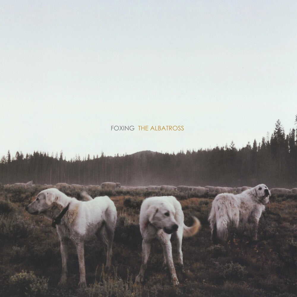 the album cover for Foxing - The Albatross [Vinyl]