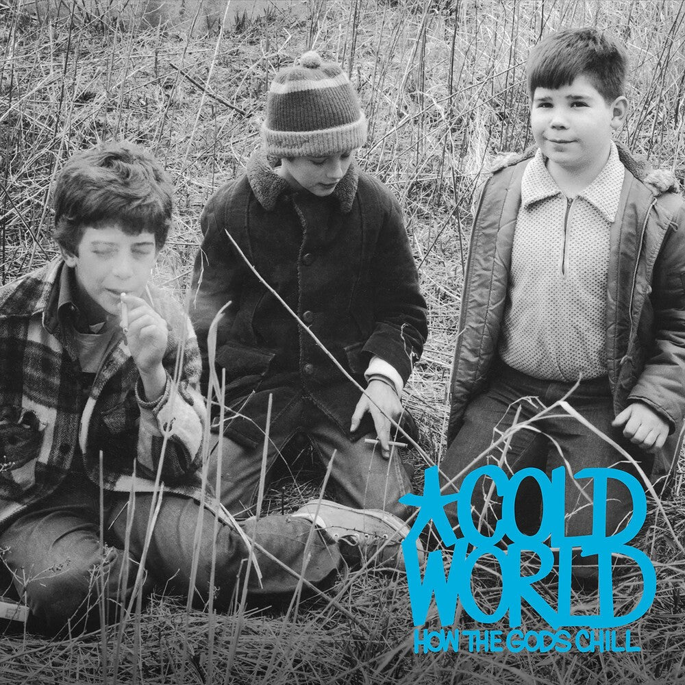 the album cover for Cold World - How the Gods Chill