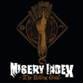 the album cover for Misery Index - The Killing Gods