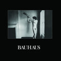the album cover for Bauhaus - In The Flat Field [Remastered]