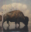 the album cover for Silverstein - This Is How the Wind Shifts