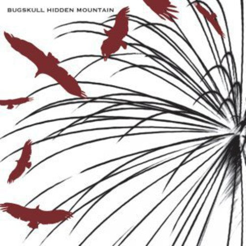 the album cover for Bugskull - Hidden Mountain