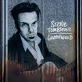the album cover for Stevie Tombstone - Greenwood