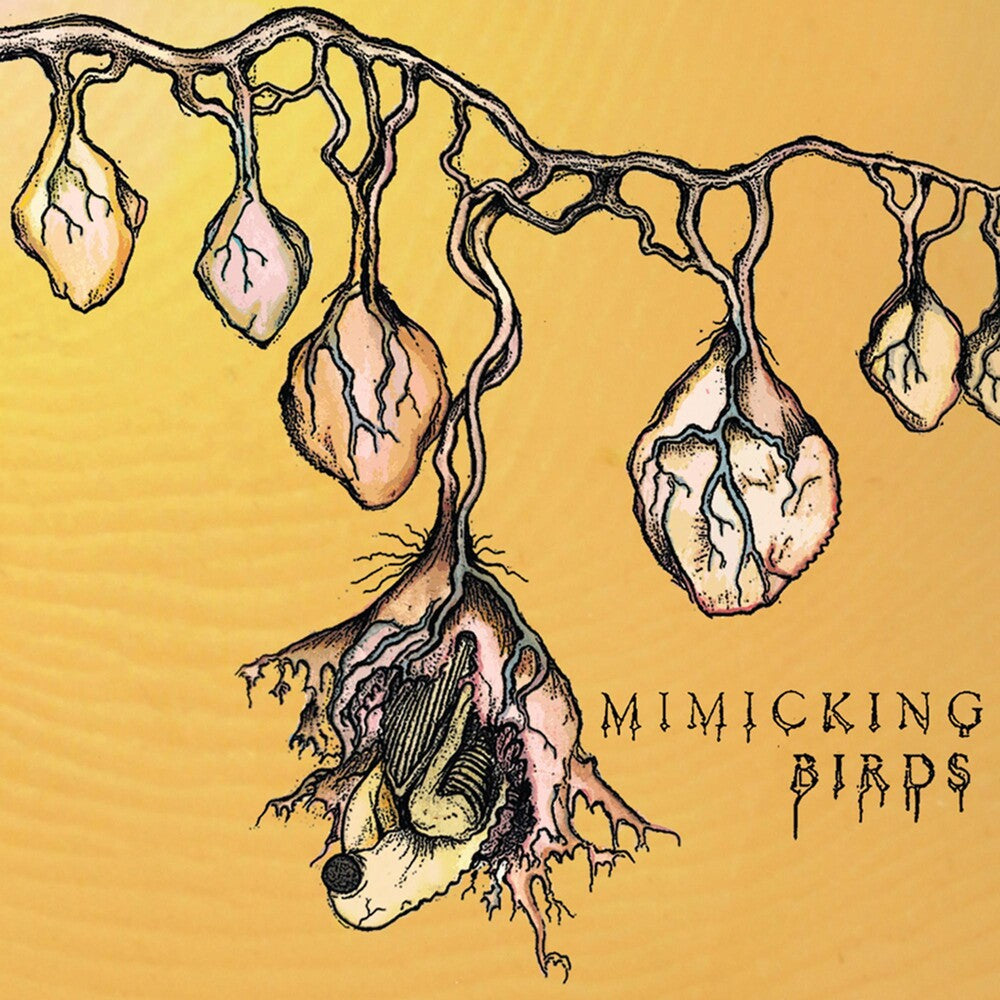 the album cover for Mimicking Birds - Mimicking Birds