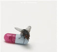 the album cover for Red Hot Chili Peppers - Im With You (Australian Tour Edition) [Import]