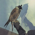the album cover for Iceage - You're Nothing