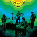 the album cover for The Stark Reality - Acting, Thinking, Feeling