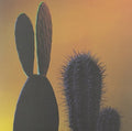 the album cover for Quitapenas - Mas Tropical/Que Te Pasa