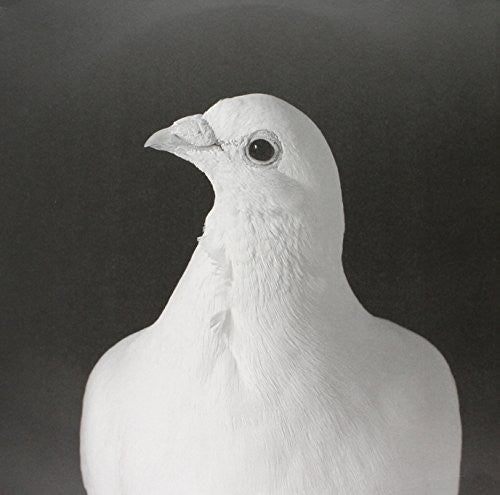 the album cover for Wolfgang Lohr - Fleeth