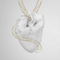 the album cover for Vampillia - Alchemic Heart