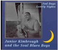 the album cover for Junior Kimbrough - Sad Days Lonely Nights