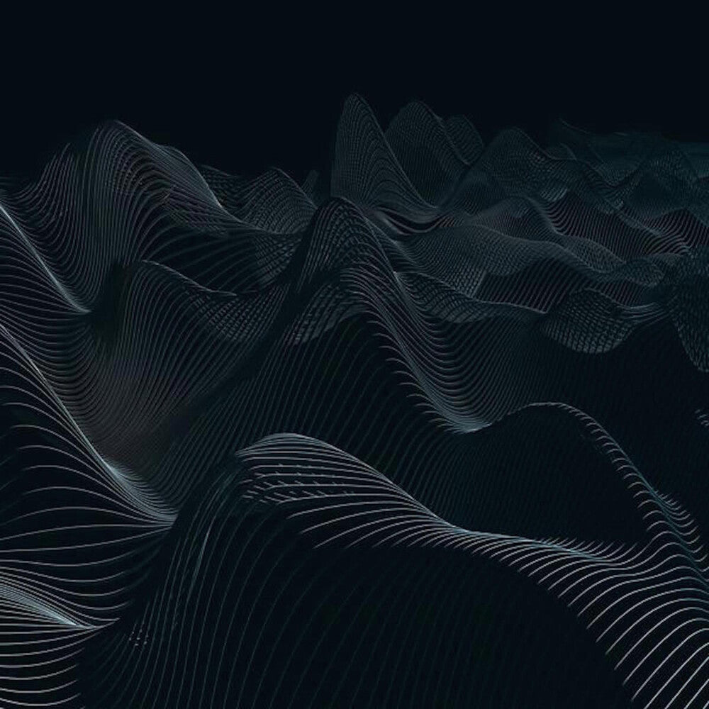 the album cover for I Speak Machine - The Silence [Vinyl]