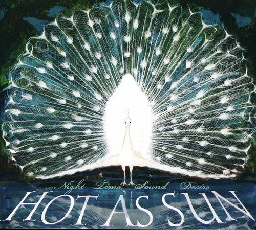 the album cover for Hot As Sun - Night Time Sound Desire