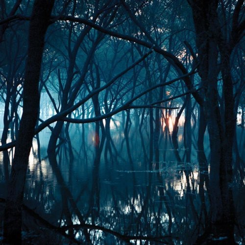 the album cover for Oneirogen - Kiasma