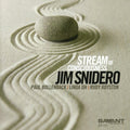 the album cover for Jim Snidero - Stream of Consciousness