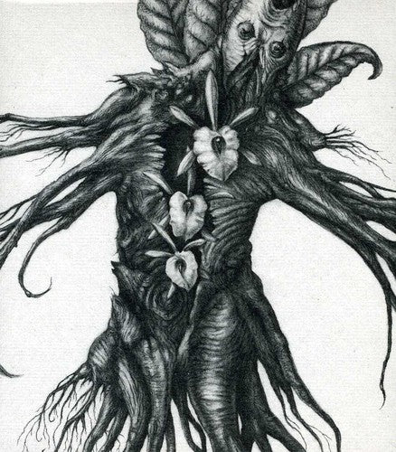the album cover for Botanist - Iv: Mandragora