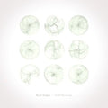 the album cover for Ryan Teague - Field Drawings