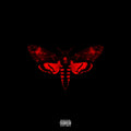 the album cover for Lil Wayne - I Am Not a Human Being II