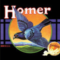 the album cover for Homer - Grown in U.S.A.