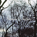 the album cover for American Wrestlers - I Can Do No Wrong / The Rest Of You [Vinyl Single]