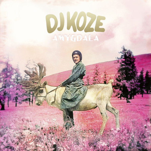 the album cover for DJ Koze - Amygdala