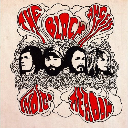 the album cover for The Black Angels - Indigo Meadow