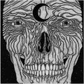 the album cover for Call Of The Void - Ageless [Vinyl]