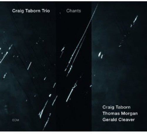 the album cover for Craig Taborn Trio - Chants