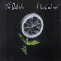 the album cover for The Districts - Flourish and a Spoil