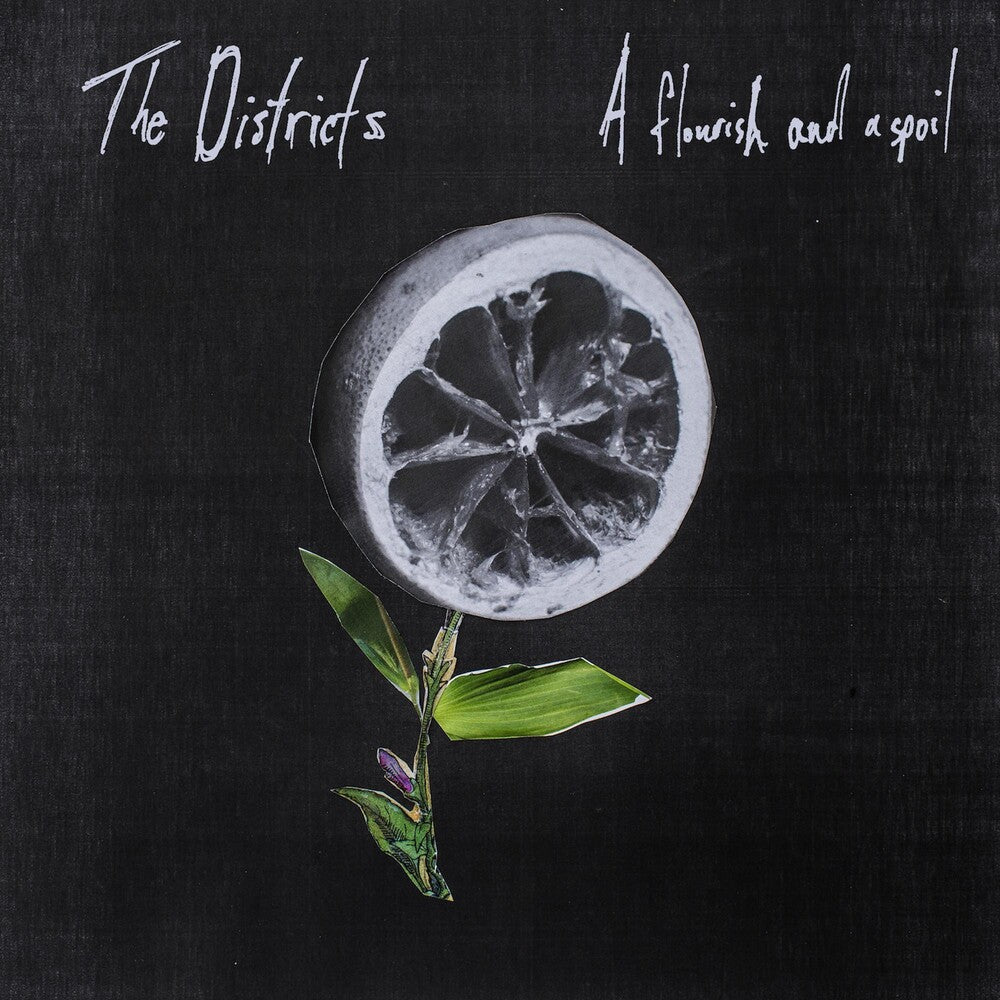the album cover for The Districts - Flourish and a Spoil