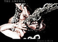 the album cover for The Amenta - Flesh Is Heir