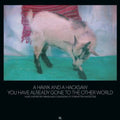 the album cover for Hawk & A Hacksaw - You Have Already Gone to the Other World