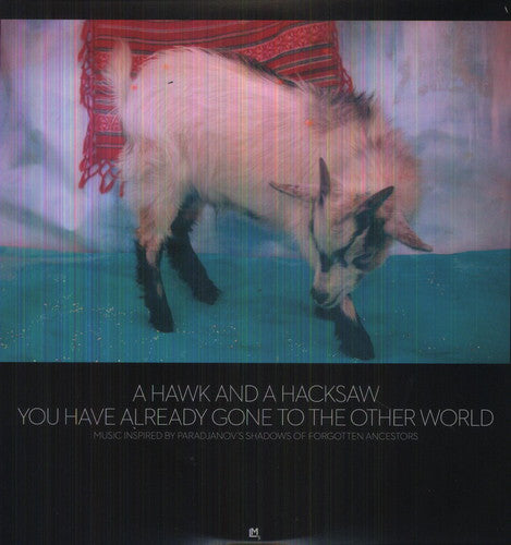 the album cover for Hawk & A Hacksaw - You Have Already Gone to the Other World