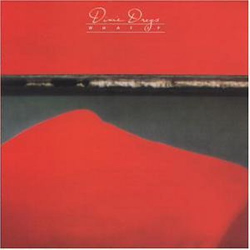the album cover for Dixie Dregs - What If