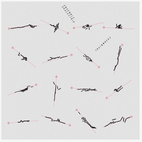 the album cover for Ensemble Skalectrik - Trainwrekz