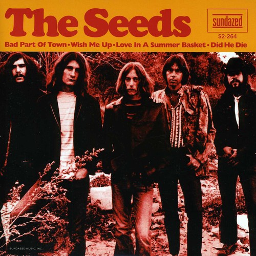 the album cover for Seeds - Bad Part Of Town