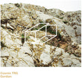 the album cover for Cosmin Trg - Gordian