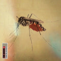 the album cover for The Weeks - Dear Bo Jackson